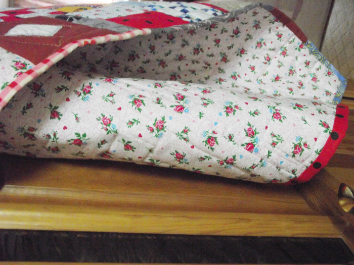 DSCF5602 (700x525, 518Kb)