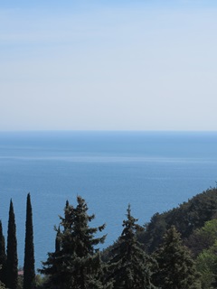foto-priroda (1) (240x320, 16Kb)