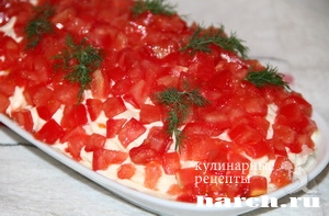 salat-s-seldiu-i-pomidorami-regata_61 (300x197, 57Kb)