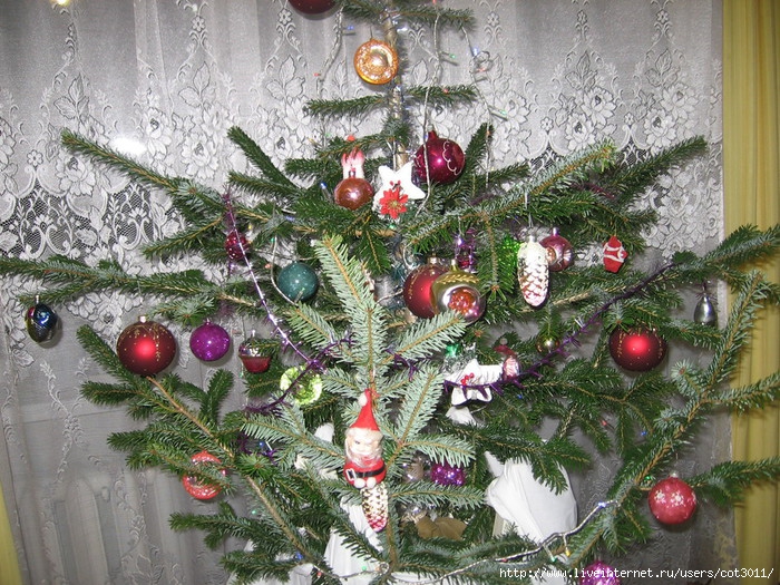 IMG_0583 (700x525, 383Kb)