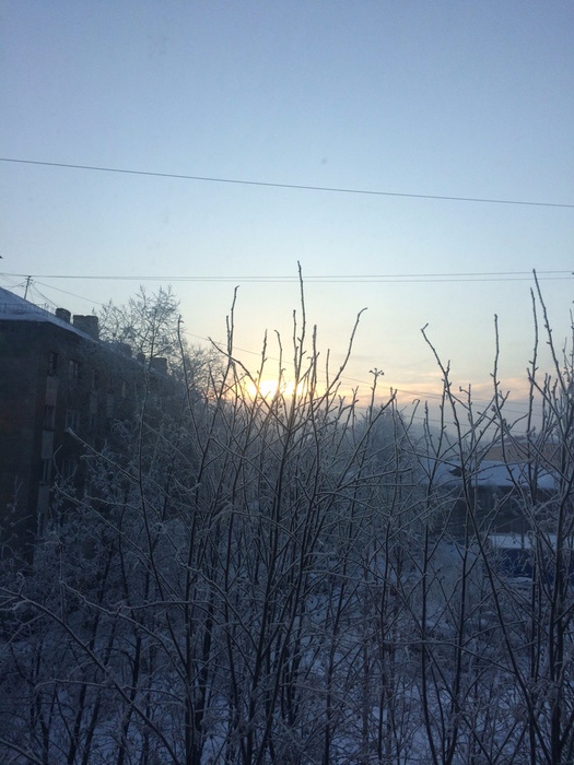 128201536_IMG_0789 (525x700, 341Kb)