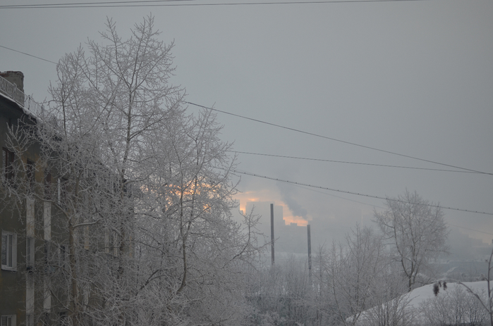 DSC_0353 (700x463, 279Kb)