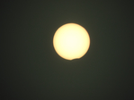  DSCN8695 (700x525, 200Kb)