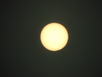  DSCN8687 (700x525, 194Kb)