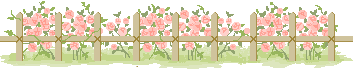 21 (353x69, 4Kb)