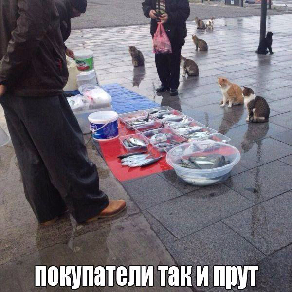 4153986_original (600x600, 286Kb)