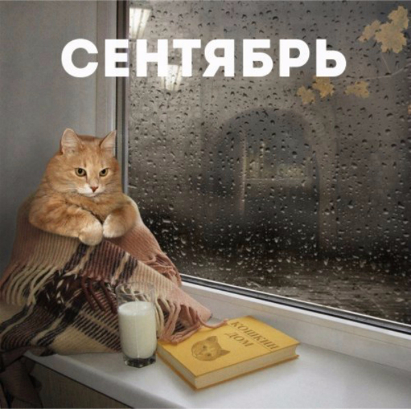 4032991_original (600x598, 289Kb)