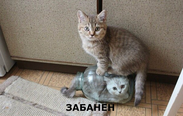 4153622_original (600x381, 272Kb)