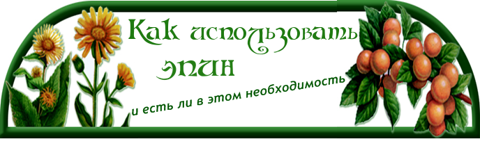 чем вреден эпин для человека. 128519985 02. чем вреден эпин для человека фото. чем вреден эпин для человека-128519985 02. картинка чем вреден эпин для человека. картинка 128519985 02. Разъяснение к предыдущему уроку. Всем здравствуйте. Вчера я выставила урок про новый.