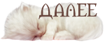 белый котенок_S (150x61, 16Kb)