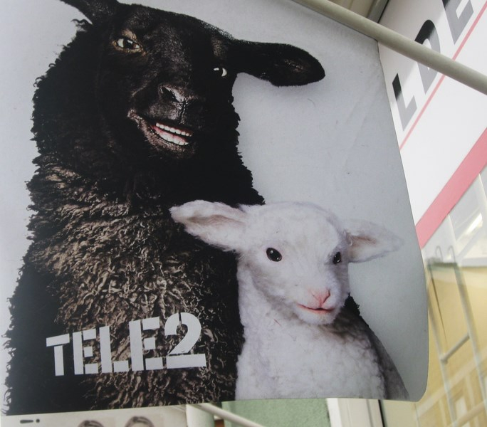 c spring 014 (684x600, 253Kb)