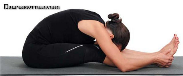 3720816_Pashchimottanasana (640x265, 16Kb)