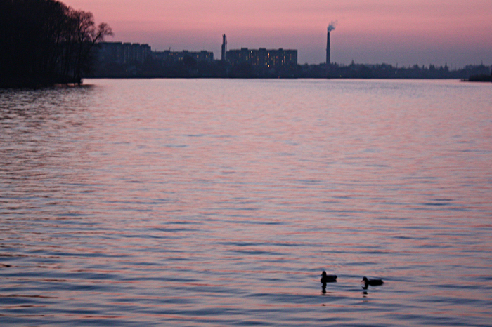 4052195_IMG_58453 (700x466, 364Kb)