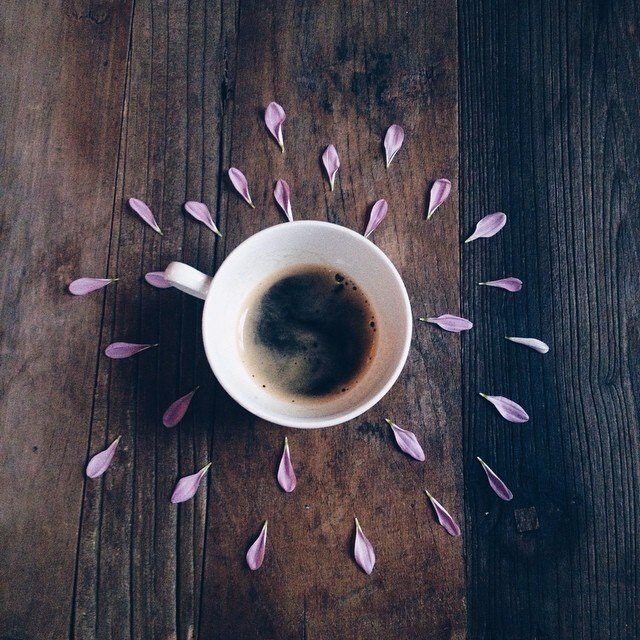image (640x640, 170Kb)