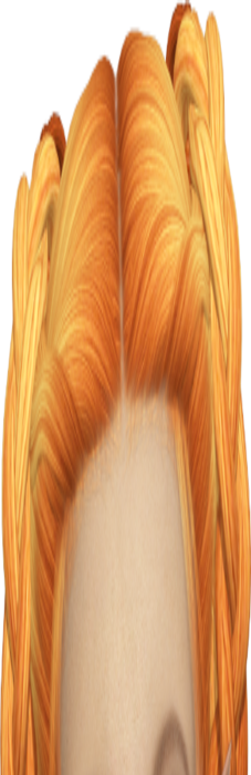 mar16P (227x700, 175Kb)