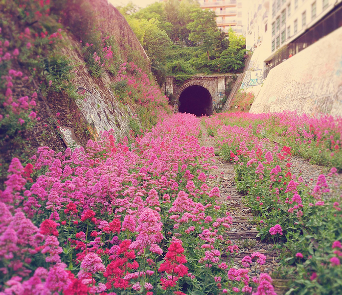 nature-reclaiming-abandoned-places-16 (700x602, 628Kb)