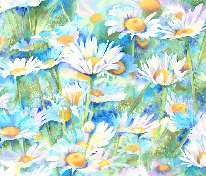 rrdaisies_3_shop_overlay_zoom (700x599, 591Kb)