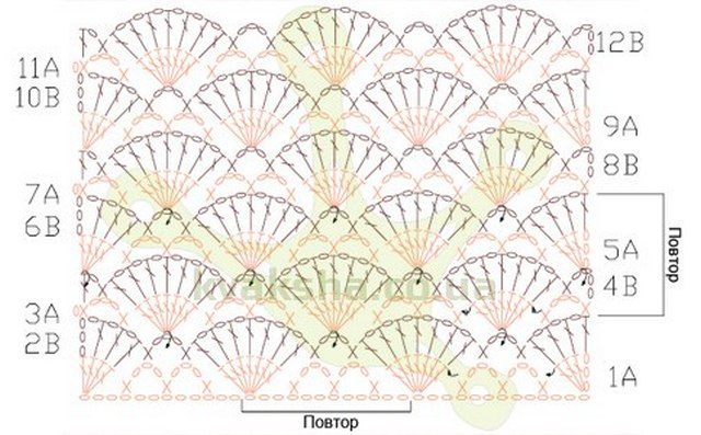 Узор крючком ракушки веерочки схема