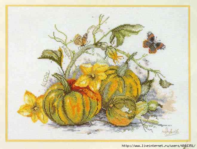 78095273_large_courges (660x500, 133Kb)