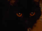 Превью DSCN7032 (700x525, 256Kb)