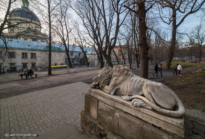 Лев валов. Львов название. Таких Львов валом в городе. Картинка таких Львов валом в городе. Как раньше назывался Львов.