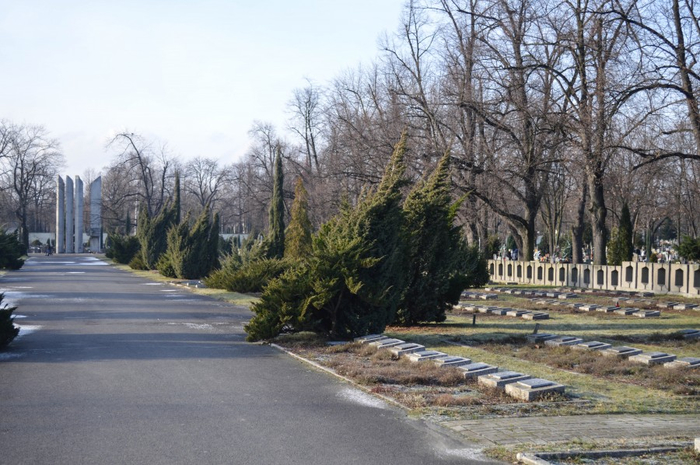 Городское кладбище фото