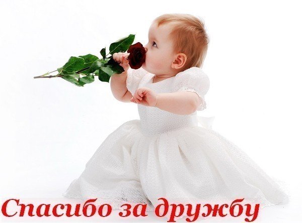 856c14d4edbb (600x444, 36 Kb)