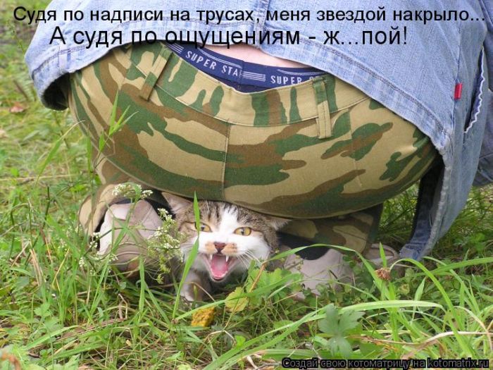  (700x525, 99Kb)