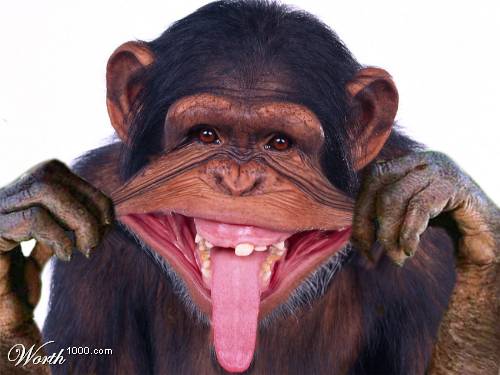  (500x375, 26Kb)