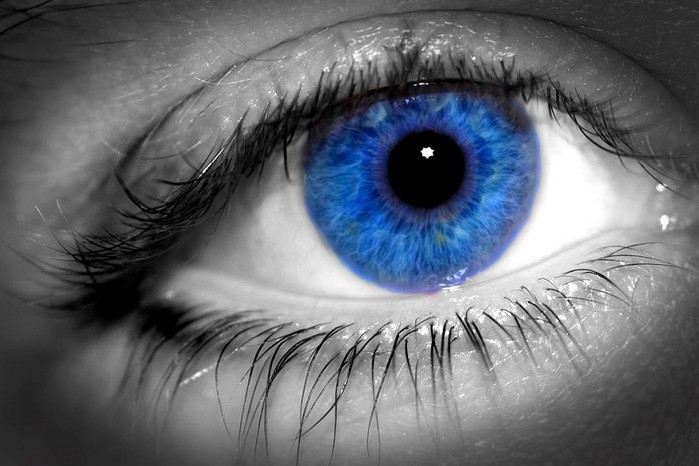 blue-eye-macro (699x466, 74 Kb)
