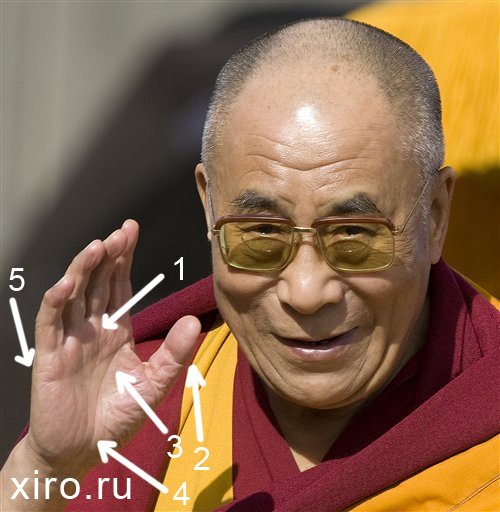  (500x512, 52Kb)