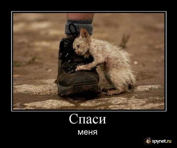  (600x504, 35Kb)