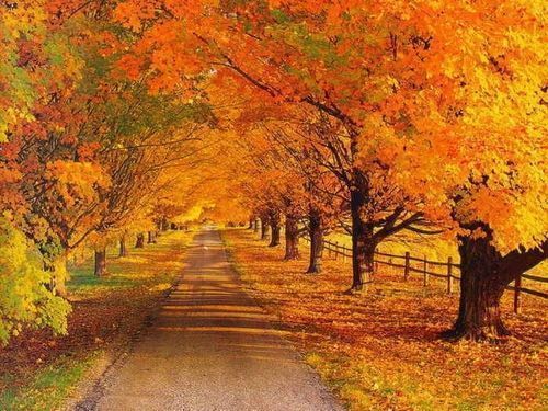  (500x375, 64Kb)