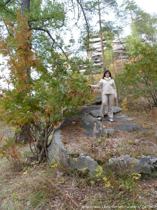 P1030347 (525x700, 201 Kb)