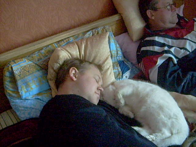  (640x480, 132Kb)
