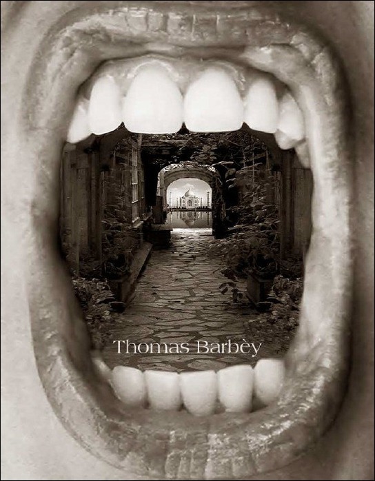 ???Thomas Barbey 37