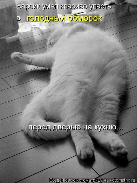  (480x639, 78Kb)