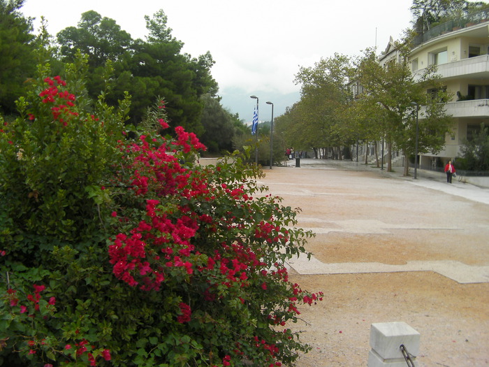 SANY0051 (700x525, 148 Kb)