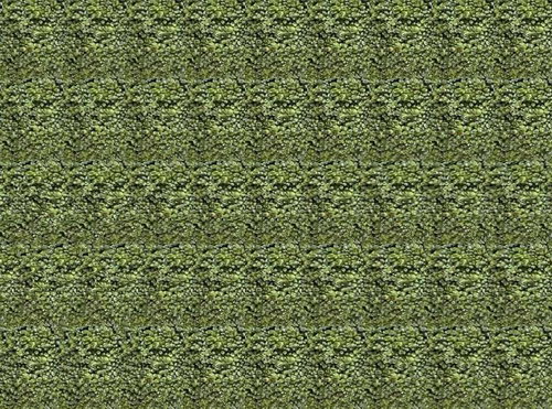  (500x371, 110Kb)