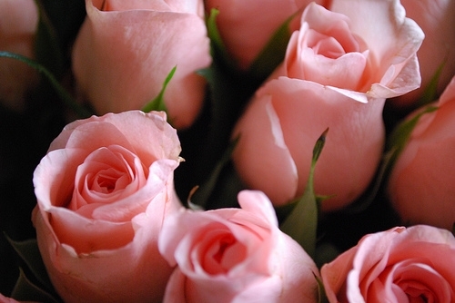 65171039_1286813919_tumblr_l9zzddcOUJ1qdbbywo1_500 (500x334, 104 Kb)