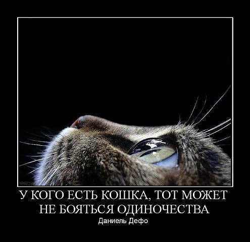  (495x480, 37Kb)