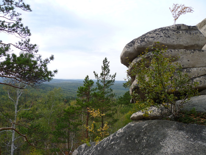 P1030391 (700x525, 153 Kb)