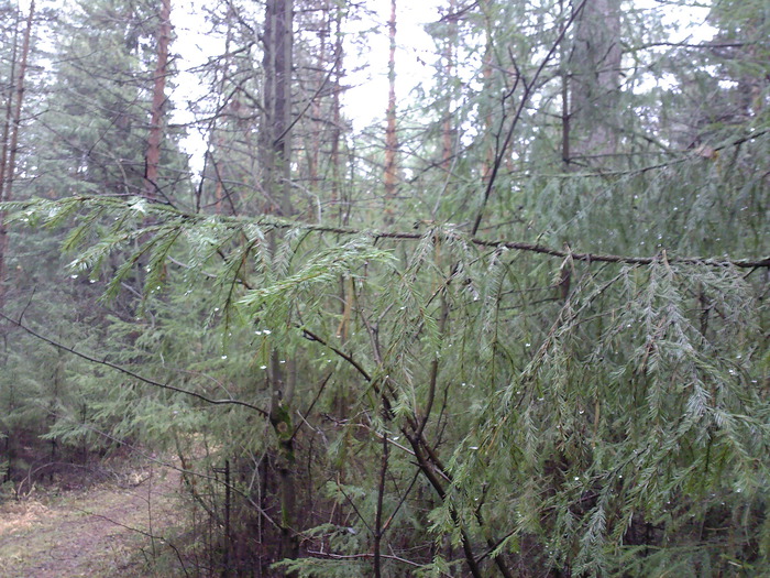 30102010 (700x525, 182 Kb)