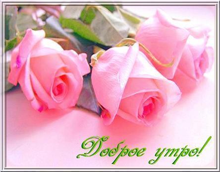 http://img1.liveinternet.ru/images/attach/c/2//66/113/66113778_Dobroe_utrorozuy.jpg