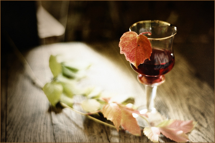 3969497_large (699x466, 104 Kb)
