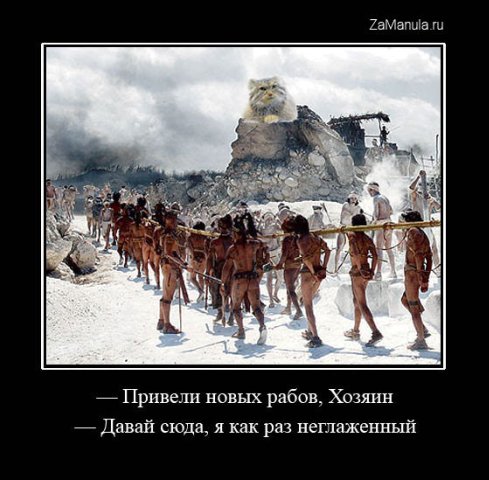  (489x480, 51Kb)