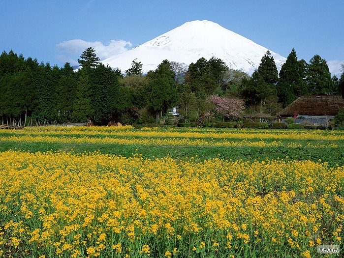 Величественный символ Японии - гора Фудзи 35