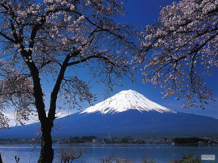 Величественный символ Японии - гора Фудзи 59