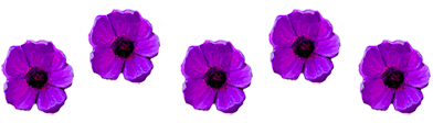  (392x122, 64Kb)