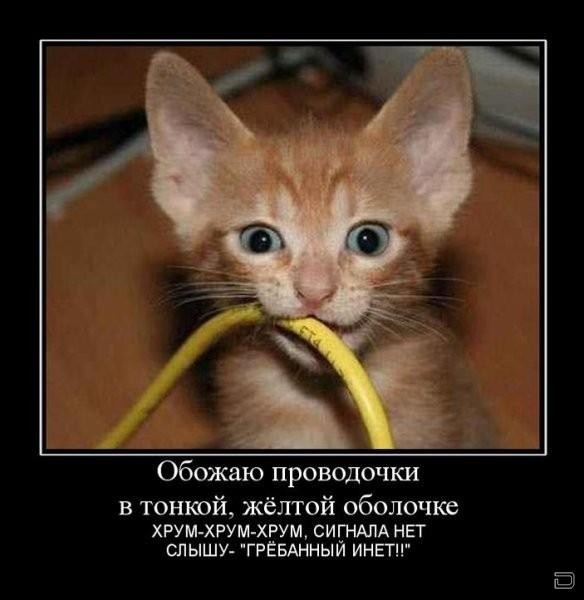  (584x600, 54Kb)